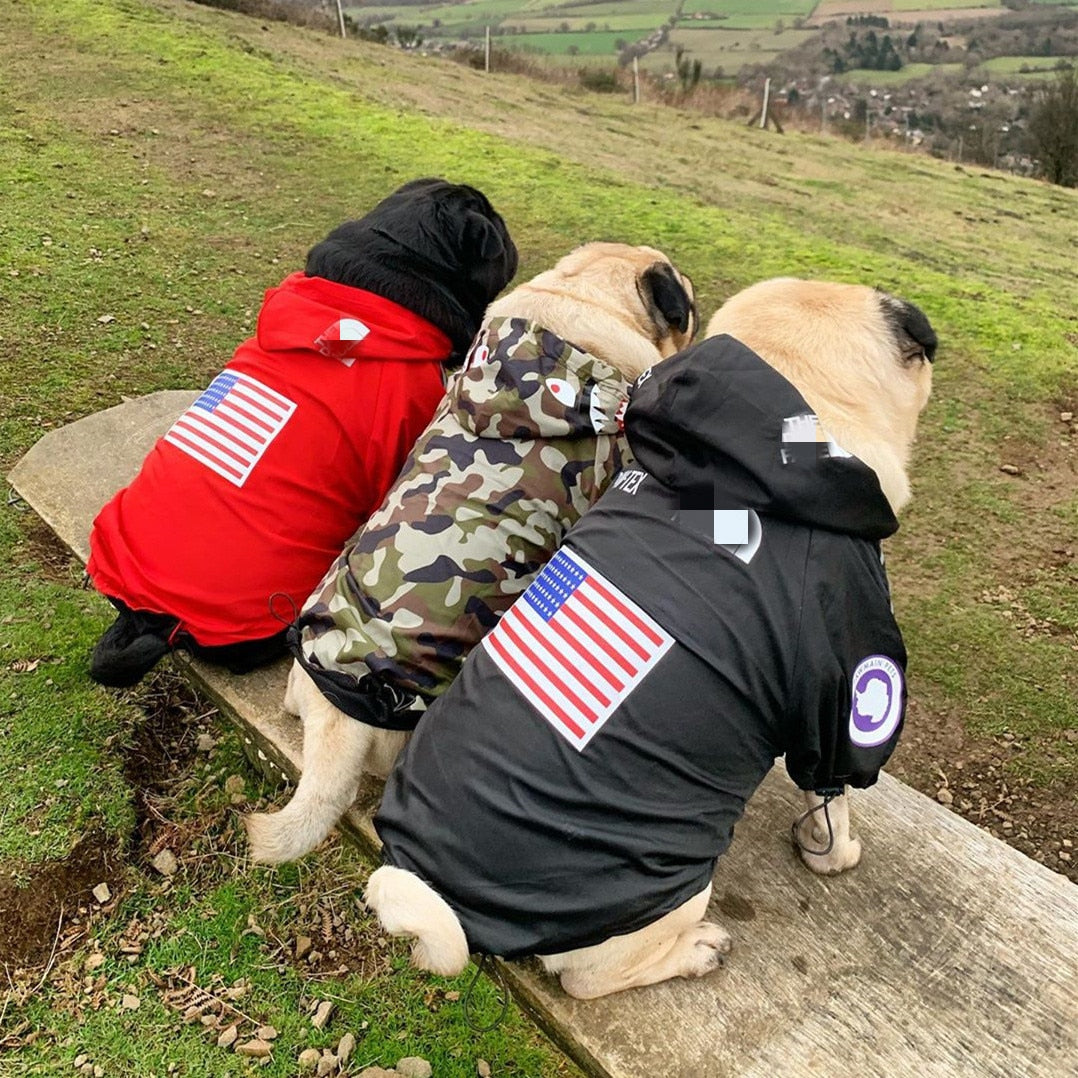 Dogs Raincoat